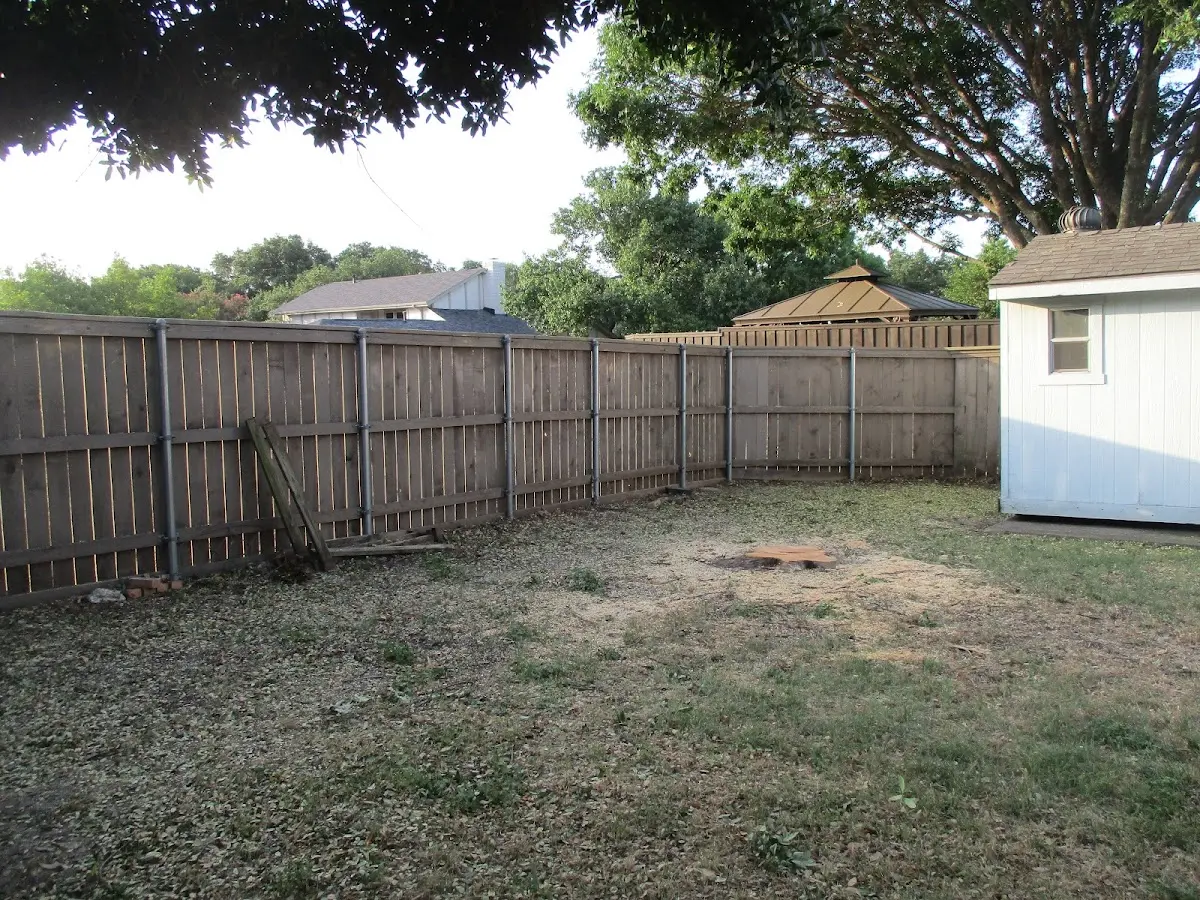 Cleared yard after professional tree removal in Wilkesville