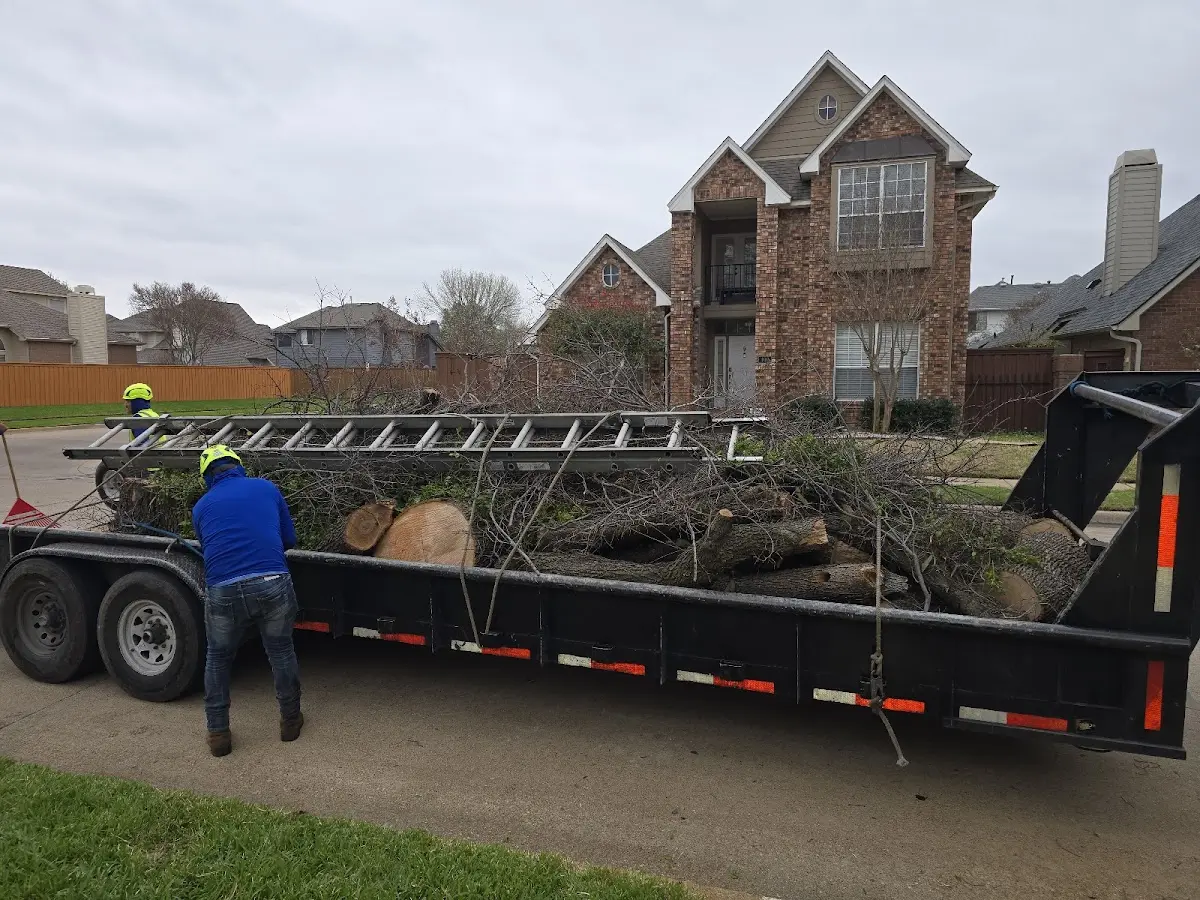 Expert Tree Fertilization with proper safety equipment in Wilkesville